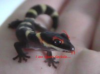 CountGeckula2.jpg