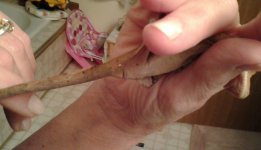 20120910_200214-1.jpg