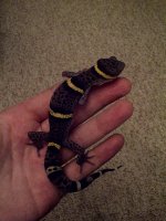 IMG-20120929-01137.jpg