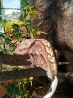 IMG_2012101124904.jpg