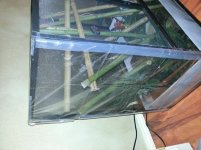 Wrapped in Vinyl sheet Frost King 2.jpg