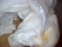 Snapshot_20121026.jpg