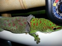 20121111_180053.jpg