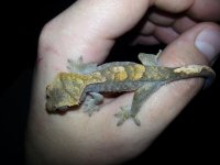20121027_150636.jpg