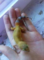 1206121551a.jpg