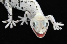 S&S L-Pied Female (26)_3DS8542LR.jpg