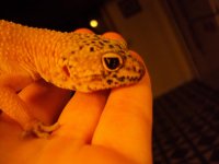 DSC01086.jpg