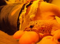 DSC01087.jpg