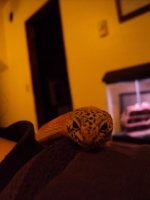 DSC01098.jpg