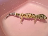IMG_1181.JPG