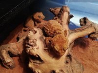 2013-01-13 07.33.35.jpg