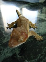 IMG_9198.jpg