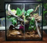 Crestie Condo.jpg
