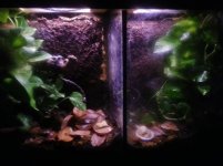 2013-01-26 19.33.28.jpg