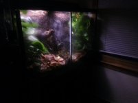 2013-01-26 19.33.45.jpg
