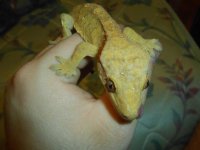 DSCN0390.jpg DSCN0390.jpg