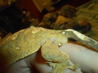 DSCN0392.jpg DSCN0392.jpg