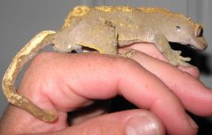 MBD smaller.jpg MBD smaller.jpg