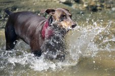 Jessie_8103LR.jpg