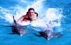 Dolphin swim122LR.jpg