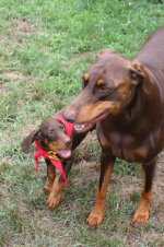 Tucker & JessieLR.jpg