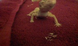 IMAG0513.jpg