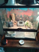 2013-03-24 14.39.55.jpg