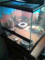 2013-03-27 14.31.21.jpg