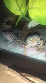 2013-02-28_07-26-08_766.jpg