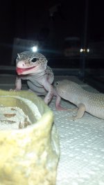 2013-03-14_18-34-11_139.jpg