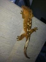 20130414_124752.jpg
