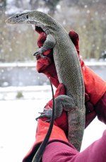 Nile Blue M_3DS4139LR.jpg