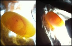 egg1and2.jpg