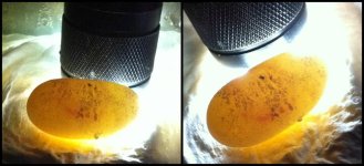 egg3and4.jpg