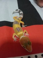 2013-05-18 14.04.28.jpg