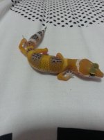 2013-05-18 14.04.49.jpg