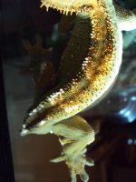 DSC02820.jpg