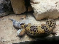 20130604_093907.jpg