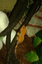 IMAG0614.jpg
