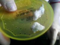 IMG0302.jpg IMG0302.jpg