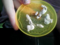 IMG0303.jpg IMG0303.jpg