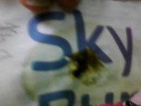 IMG0311.jpg