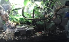 20130625_095107-1.jpg