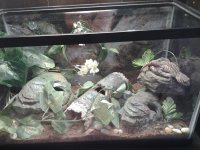20130625_095303.jpg