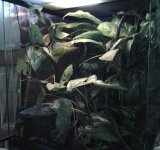 20130625_100617-1.jpg
