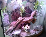 20130625_102840-1.jpg