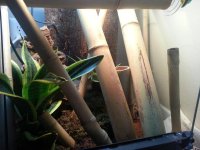 20130625_073230.jpg