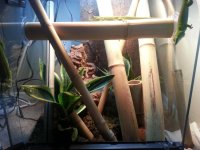 20130625_073150_1.jpg
