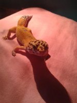 20130629_003212.jpg