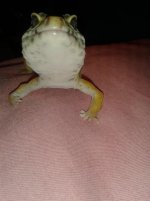 20130629_003233.jpg